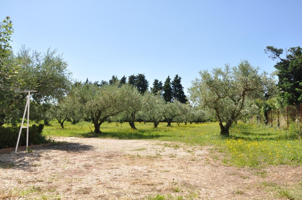 Gite Du Mas Des Oliviers Mézoargues Buitenkant foto